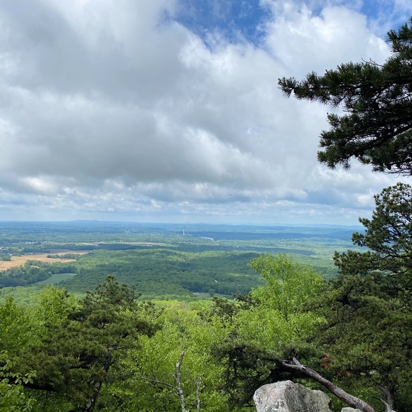 Meet your Posher, Posh - Picture 1 of 1